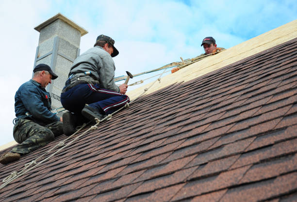 Roof Gutter Cleaning in Westfield, MA